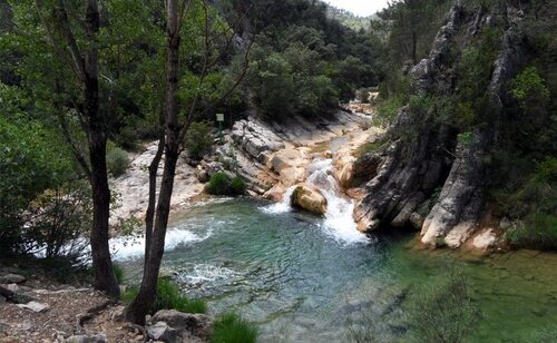 Arroyo de las truchas, en la Sierra de Cazorla