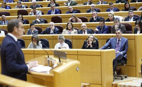 Alberto Núñez Feijóo durante su discurso en el Senado
