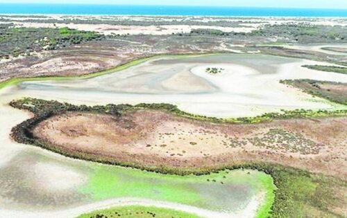El Parque Nacional de Doñana sufre una importante sequía