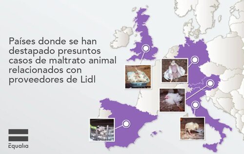 Los países en los que Equalia ha denunciado abuso animal en granjas avícolas