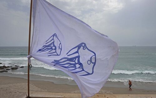 Bandera blanca con medusas en la playa
