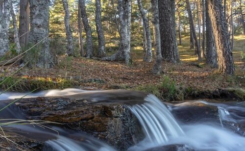 Canencia, Madrid