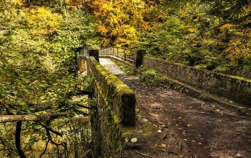 Selva de Irati (Navarra)