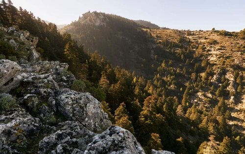 Sierra de las Nieves (Málaga)