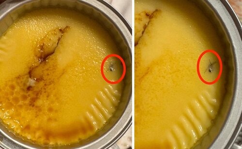 Hallazgo de un insecto en un postre de proteínas de Mercadona