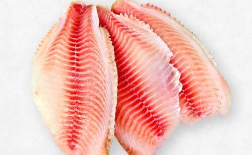 Filetes de tilapia