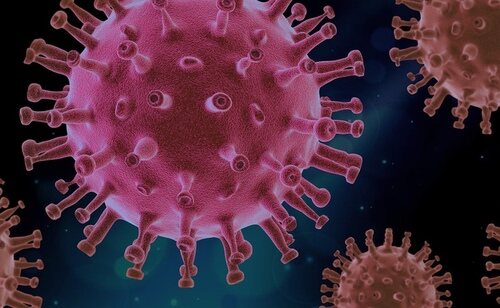 El virus del sarampión es uno de los más contagiosos
