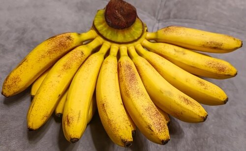 Es fundamental guardar un plátano en lugar fresco, seco y resguardado de la luz solar