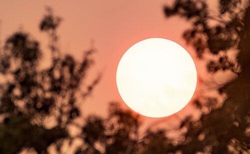 El calor puede impactar en nuestra vida diaria