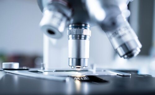 La proliferación de bacterias resistentes a los antibióticos es un gran reto de salud pública
