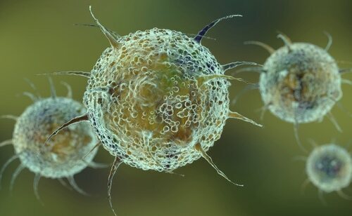 La expansión de la dermatosis nodular contagiosa preocupa a las autoridades