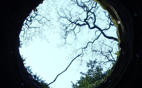 El cuerpo de la víctima fue hallado en un pozo con importantes lesiones en el estómago