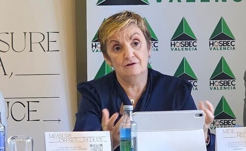 La consellera de Innovación, Comercio, Industria y Turismo, Marián Cano, ha explicado la situación de Carlos Mazón al frente del Consell