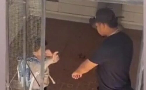 Algunos vecinos grabaron vejaciones al menor en plena vía pública