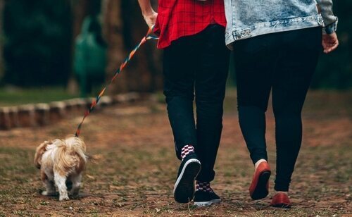 Los expertos dan nuevas directrices sobre la recomendación de pasos diarios