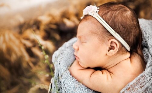 Se ofrecen ayudas desde todo tipo de administraciones y solo hay que seguir unos pasos muy sencillos