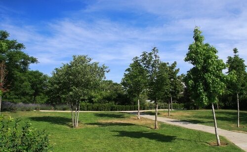 El cuerpo del joven fue hallado en el entorno de Madrid Río