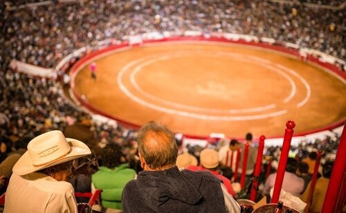 El Gobierno quiere evitar la entrada de menores en espectáculos taurinos