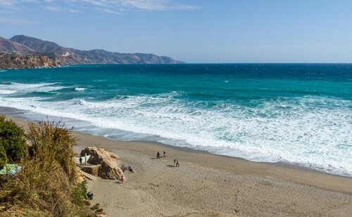 El objetivo es garantizar la población de la isla
