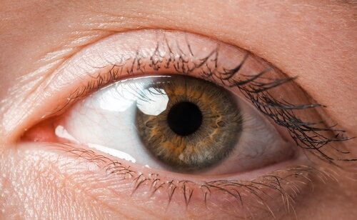 El color de nuestros ojos puede ser determinante para conocer nuestro estado de salud