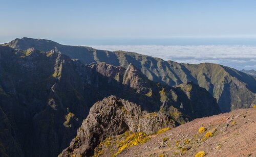 Madeira se ha alzado como un destino de moda en primavera