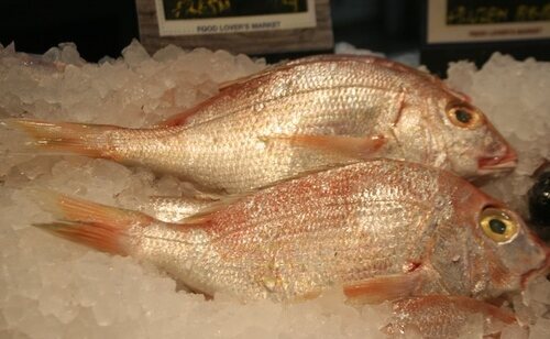 Los usuarios criticaron que ambos optaran por los filetes de panga