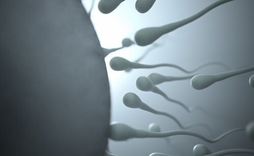 La ciencia confirma las implicaciones de la masturbación habitual en el semen