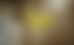 PornHub se adentra en el erotismo de algunos museos con 'Classic Nudes', imagen de sustitución