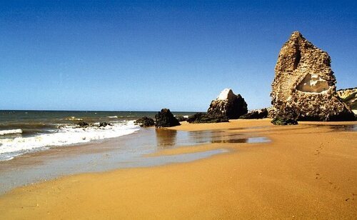 Playa de Doñana