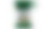 Galletas Espirulina y Chía Hacendado, imagen de sustitución
