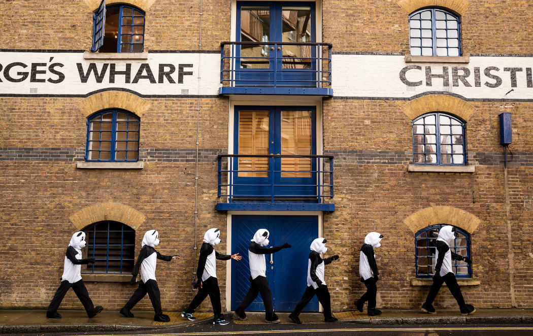 Londres se llena de pandas para anunciar la Hora del Planeta