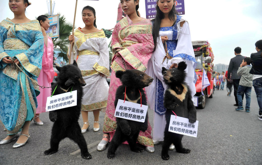 Maltrato animal para vender pisos en China