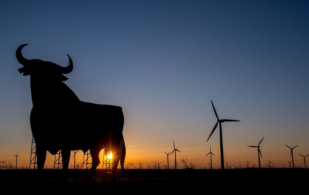 El toro no es un símbolo de España