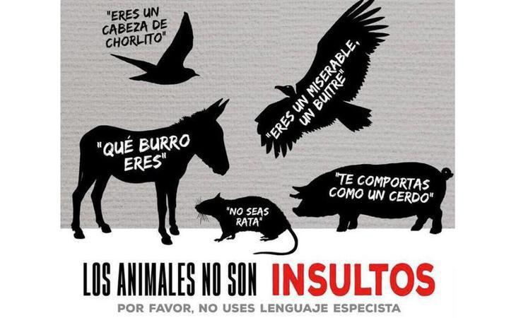 Prohibido insultar a los animales: ellos también se ofenden