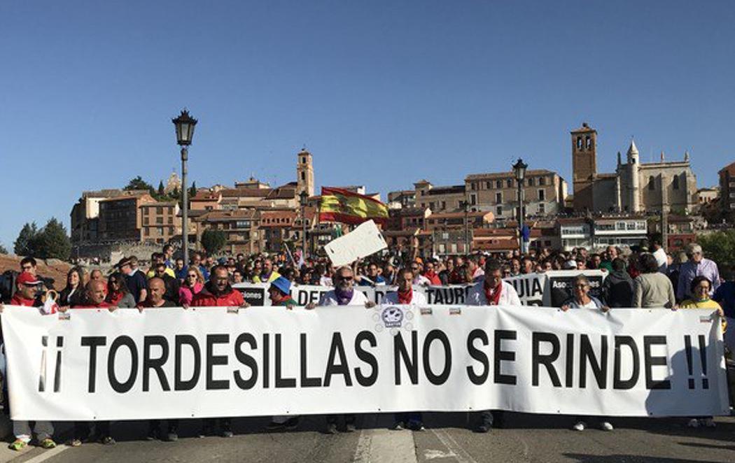 Tordesillas se moviliza para defender la muerte del animal en el Toro de la Vega