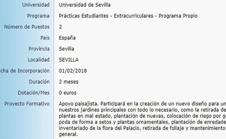 Trabaja gratis de becario en el Palacio de Dueñas