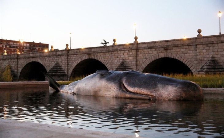 El Ayuntamiento de Madrid posa una ballena en el Manzanares para visibilizar el cambio climático