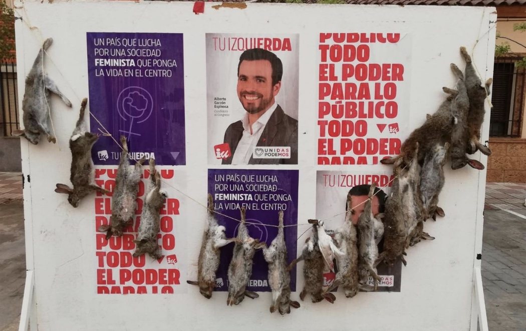 Cuelgan 16 conejos muertos en el cartel electoral de Alberto Garzón de un pueblo toledano