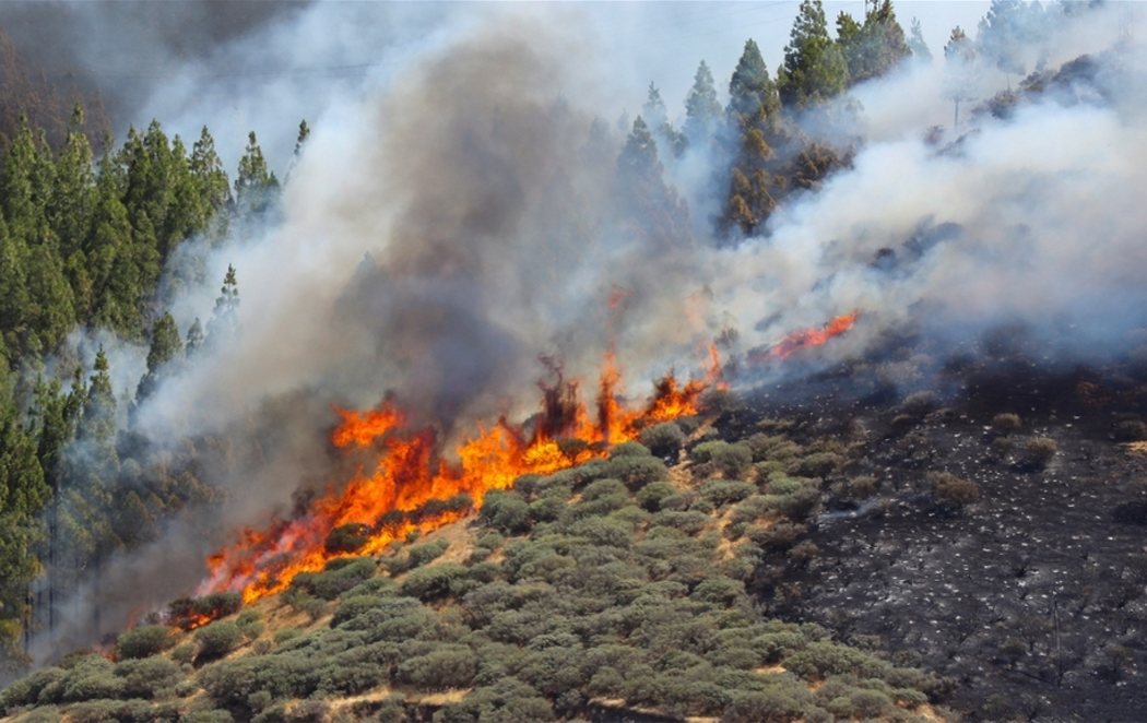 El incendio de Gran Canaria avanza sin control