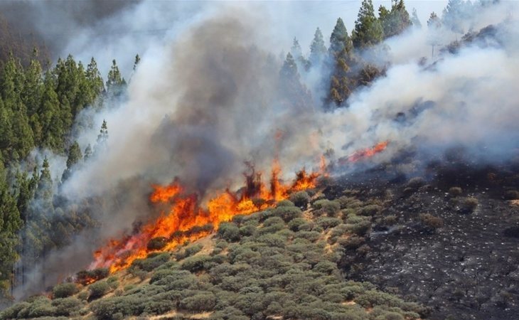 El incendio de Gran Canaria avanza sin control