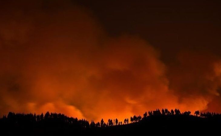 Pánico en Gran Canaria ante el tercer incendio en una semana