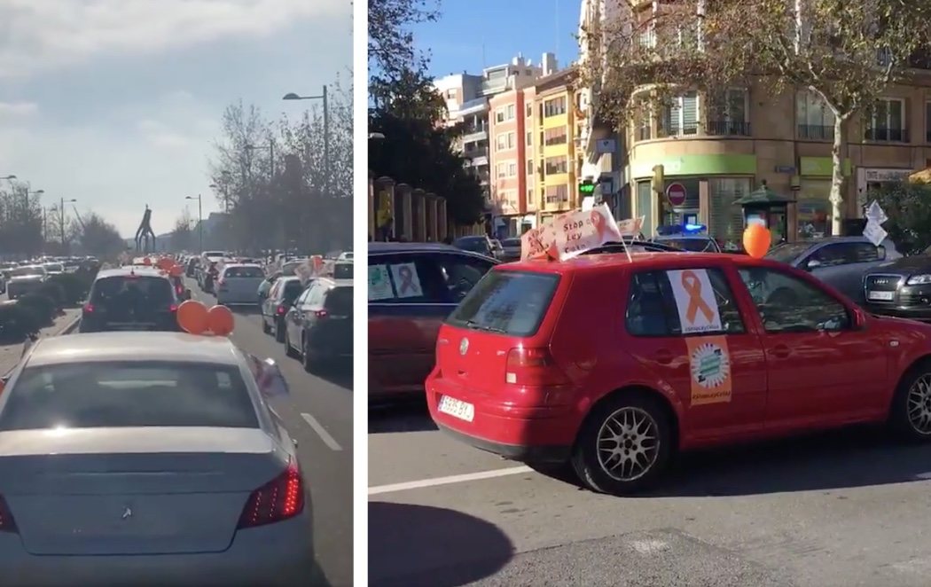 PP, VOX y Cs se manifiestan en varias ciudades españolas contra la Ley Celaá