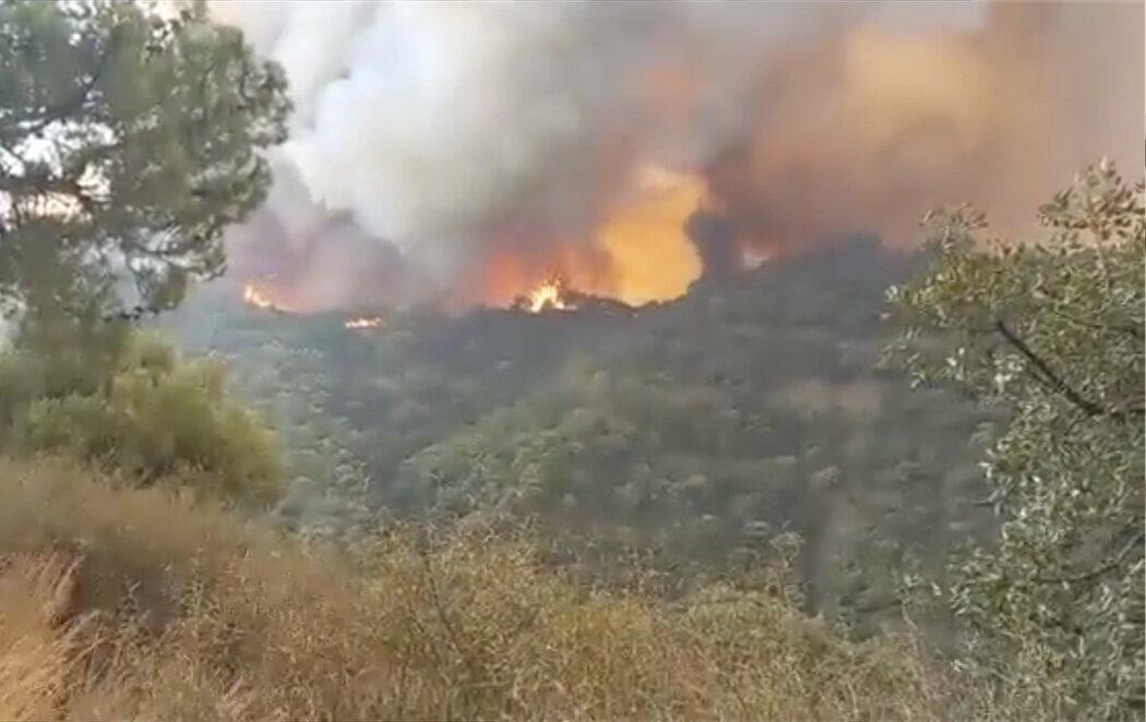 El incendio en Sierra Bermeja arrasa 7.400 hectáreas y obliga a evacuar a otras 1.600 personas