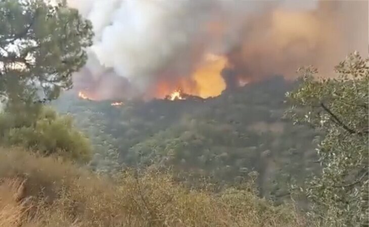 El incendio en Sierra Bermeja arrasa 7.400 hectáreas y obliga a evacuar a otras 1.600 personas