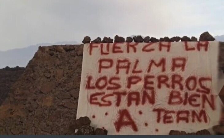 "Los perros están bien": el misterioso cartel sobre el rescate de los perros en La Palma