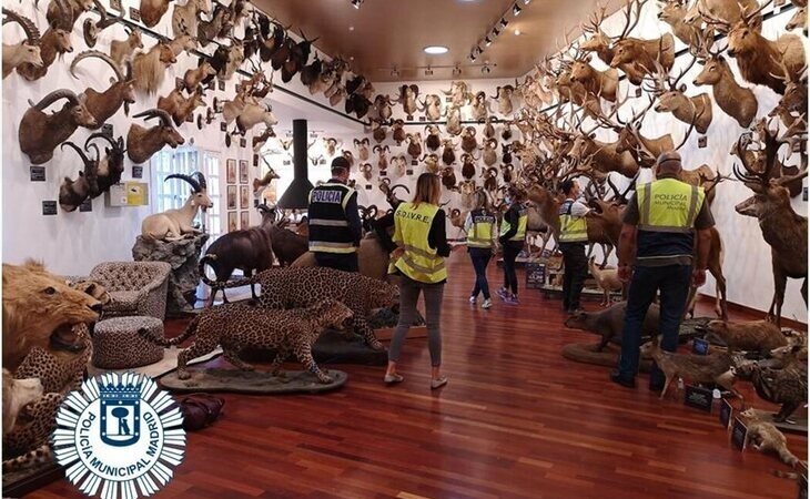 La Policía requisa osos, linces, cocodrilos, lobos y primates en el chalé del expresidente de Sanitas