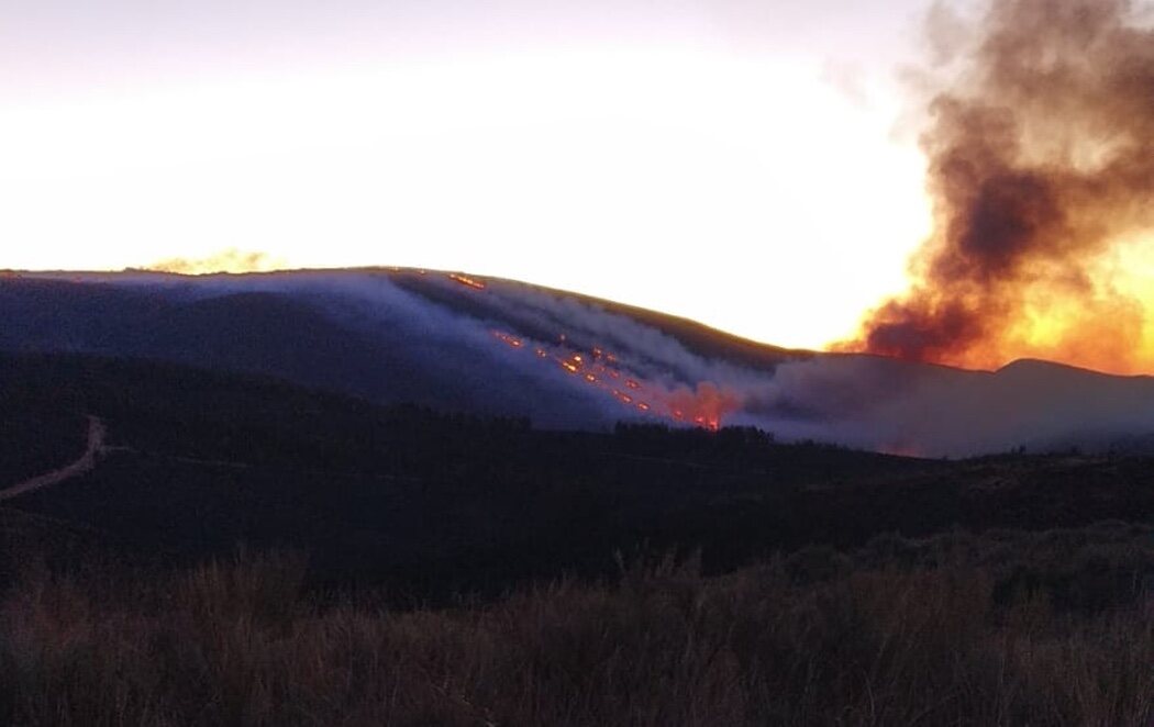 Controlado el primer gran incendio del año, en la frontera zamorana con Portugal tras arrasar 2.178 hectáreas