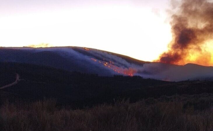 Controlado el primer gran incendio del año, en la frontera zamorana con Portugal tras arrasar 2.178 hectáreas