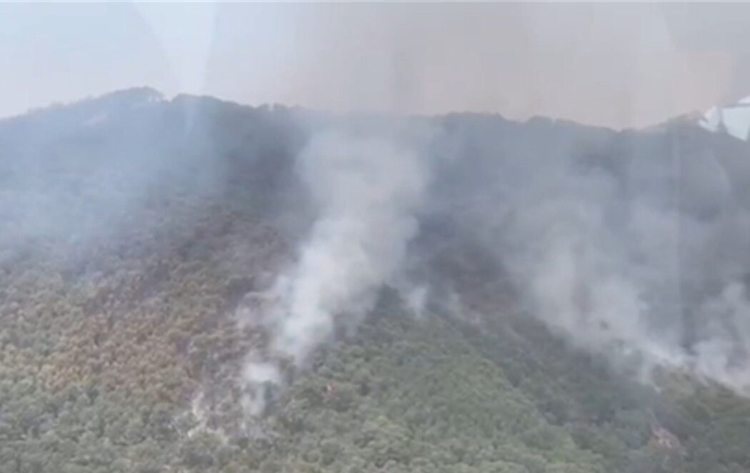 El incendio en Málaga calcina 2.000 hectáreas de Sierra Bermeja