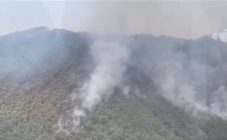 El incendio en Málaga calcina 2.000 hectáreas de Sierra Bermeja